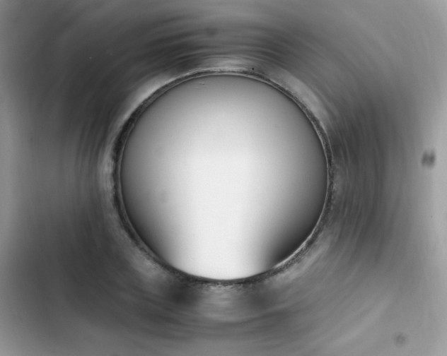 X0000103940835200809191415