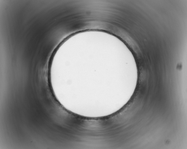 X0000103940836200809191415