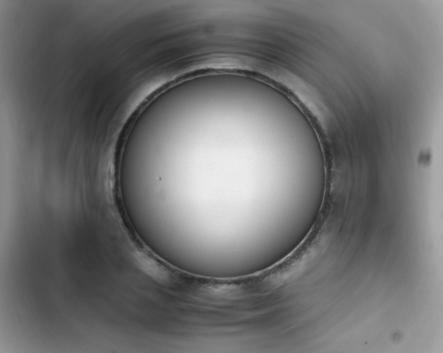 X0000103940837200809191415
