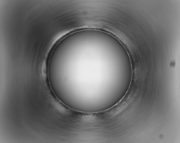 X0000103940838200809191415