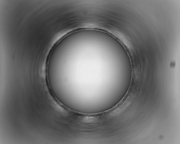 X0000103940839200809191415