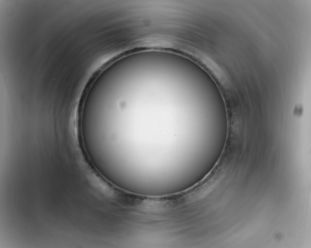 X0000103940840200809191415