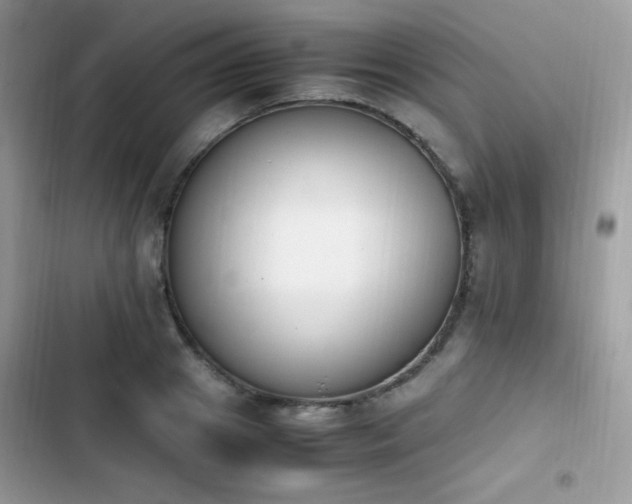 X0000103940841200809191415