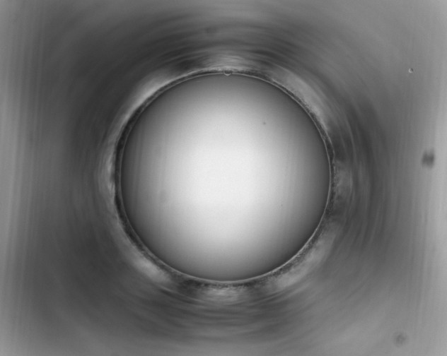 X0000103940843200809191415