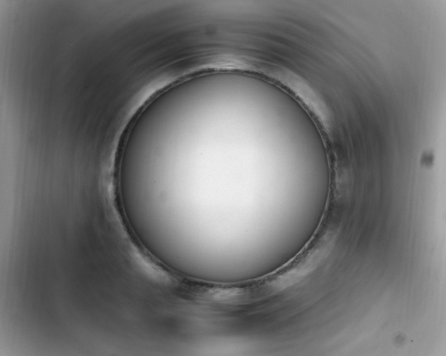 X0000103940845200809191415