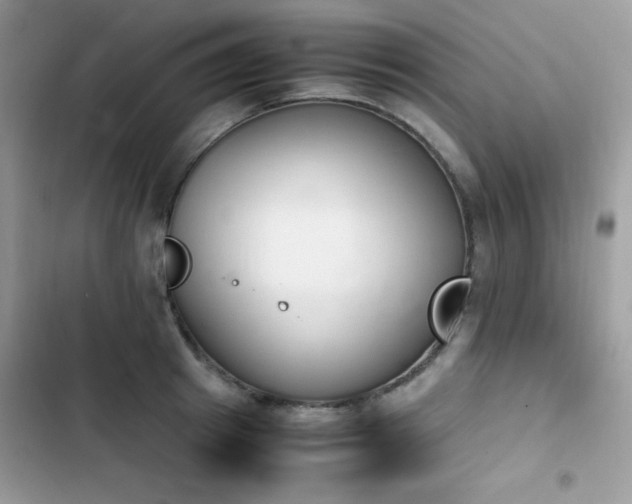 X0000103940849200809191415