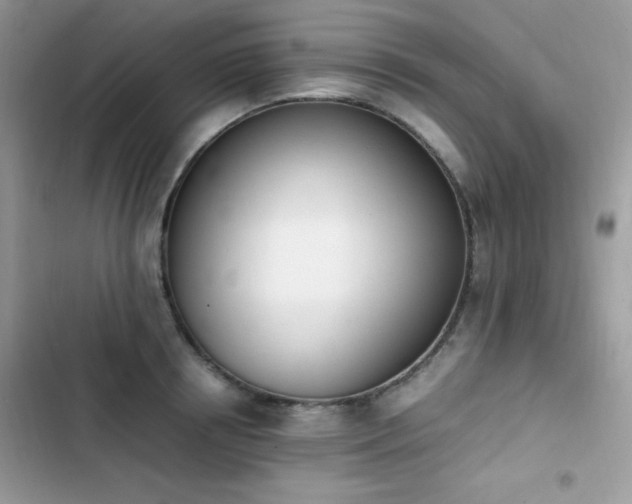 X0000103940850200809191415