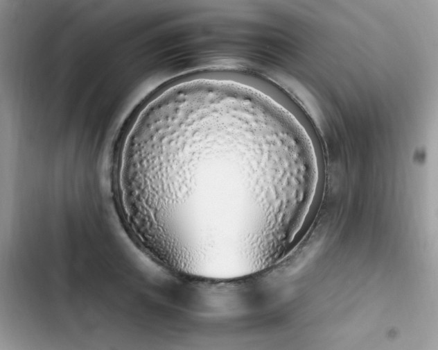X0000103940851200809191415