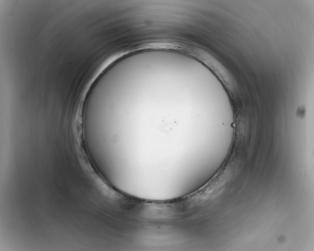 X0000103940852200809191415