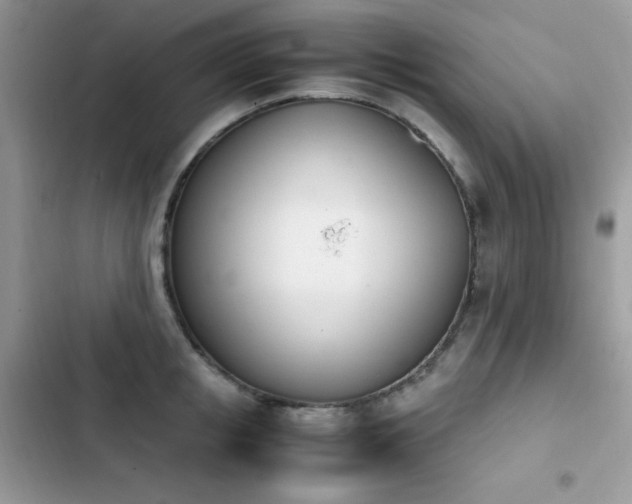 X0000103940853200809191415