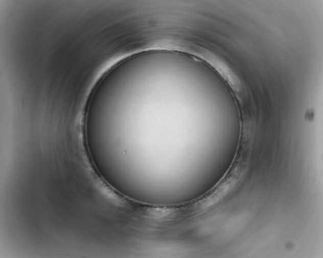 X0000103940854200809191415
