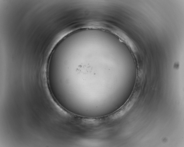 X0000103940855200809191415
