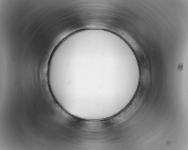 X0000103940856200809191415