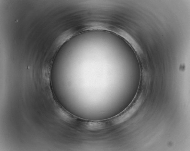 X0000103940857200809191415