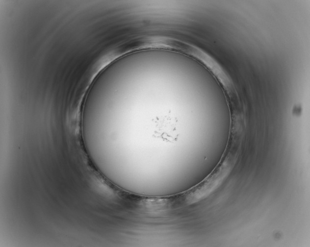X0000103940858200809191415