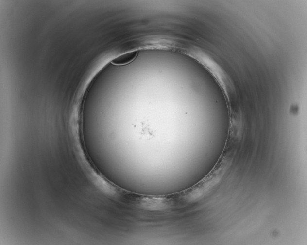 X0000103940859200809191415