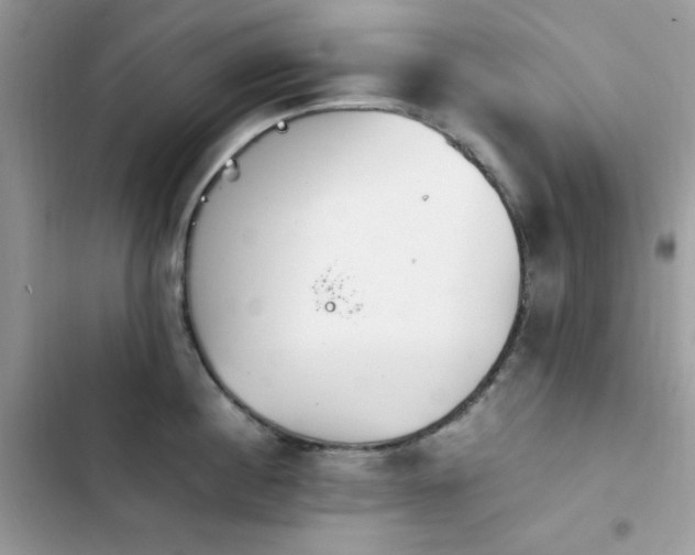 X0000103940860200809191415