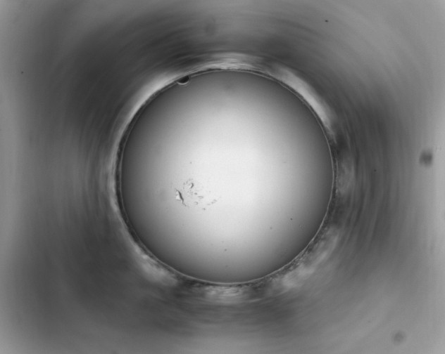 X0000103940861200809191415