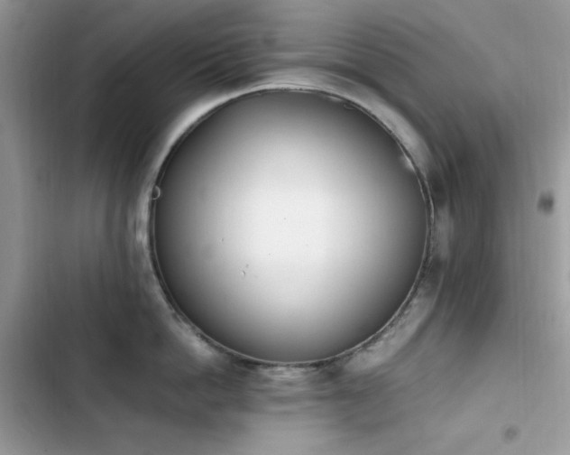 X0000103940862200809191415