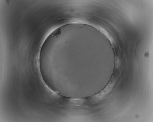 X0000103940863200809191415