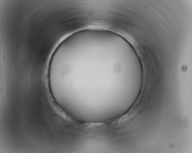 X0000103940864200809191415
