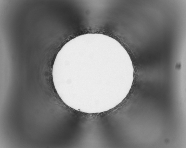 X0000103940865200809191415