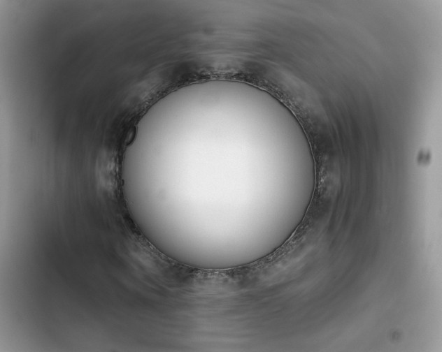 X0000103940866200809191415