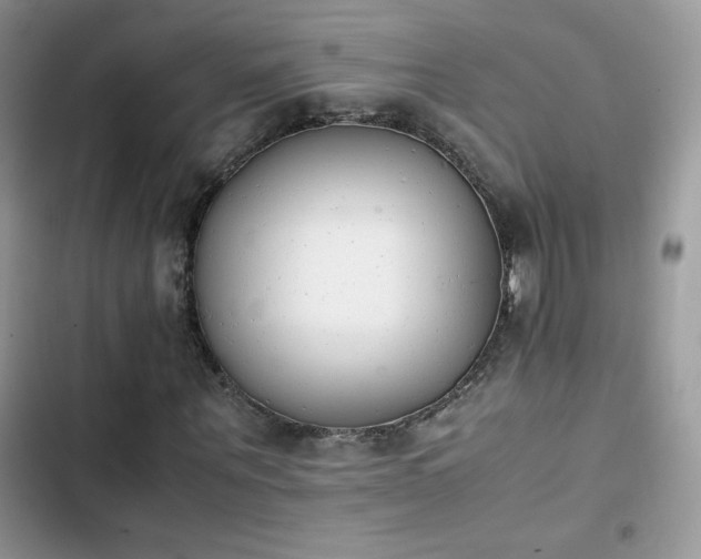 X0000103940867200809191415