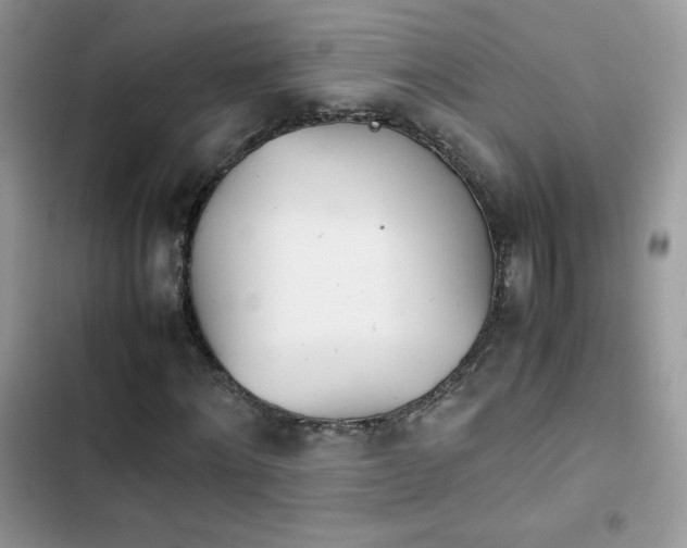 X0000103940868200809191415