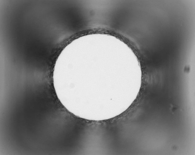 X0000103940869200809191415