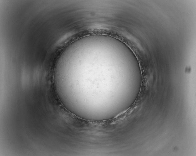 X0000103940870200809191415