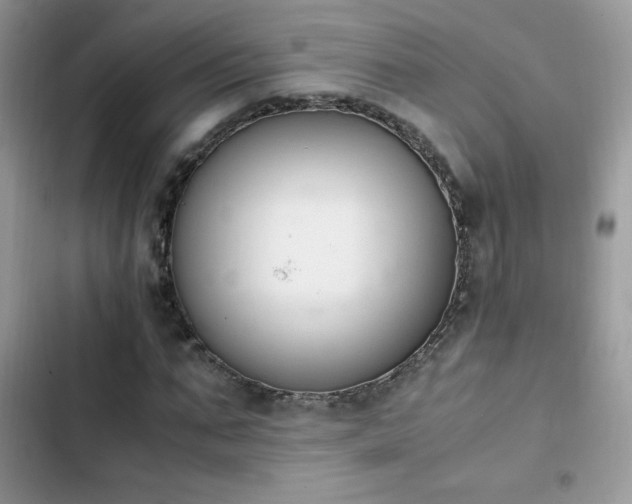X0000103940871200809191415