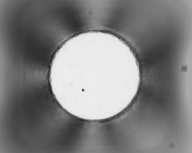 X0000103940873200809191415
