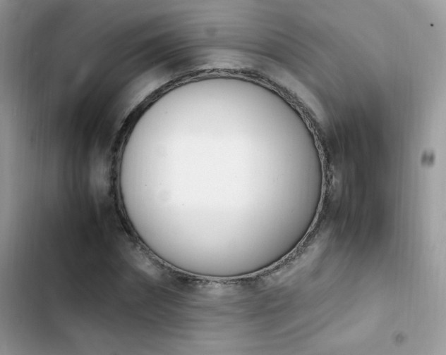 X0000103940874200809191415