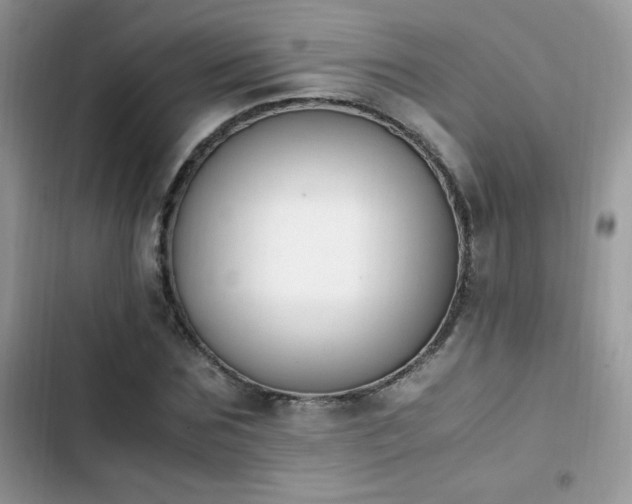 X0000103940875200809191415