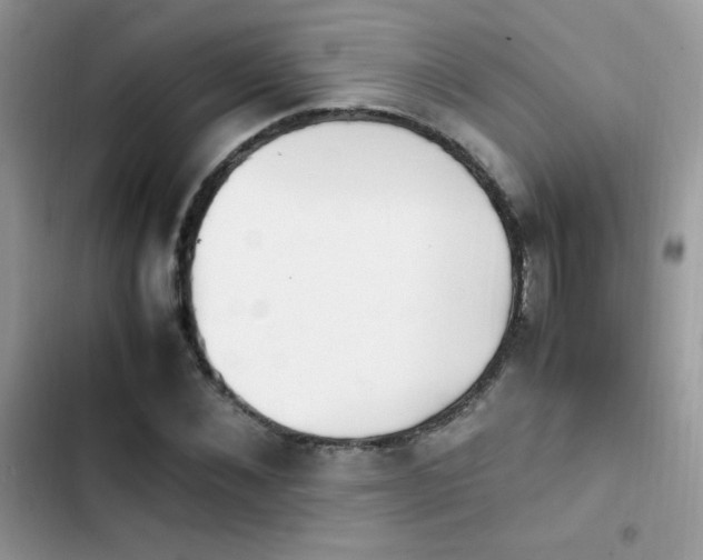 X0000103940876200809191414