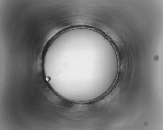 X0000103940877200809191414