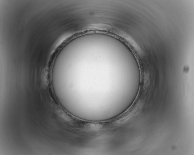 X0000103940878200809191414