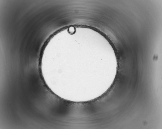 X0000103940880200809191414
