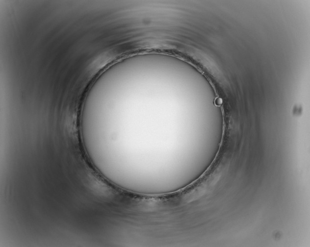 X0000103940881200809191414