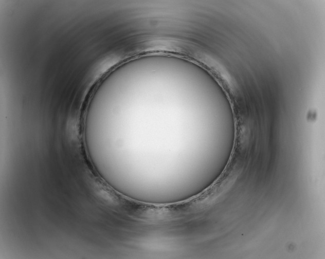 X0000103940882200809191414