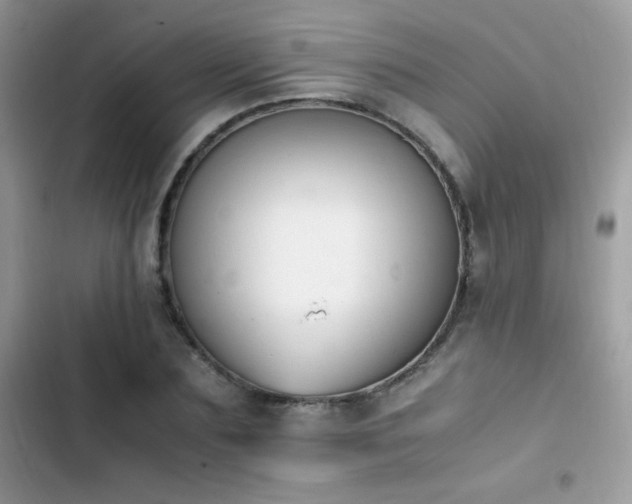 X0000103940883200809191414