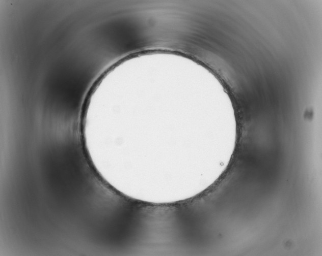 X0000103940884200809191414