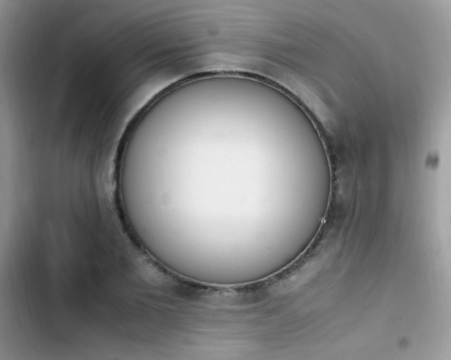 X0000103940885200809191414