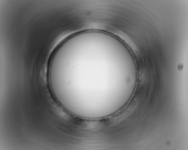 X0000103940886200809191414