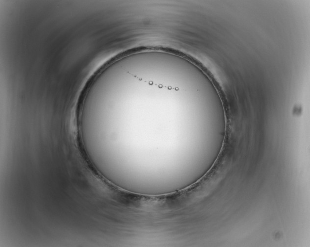 X0000103940887200809191414