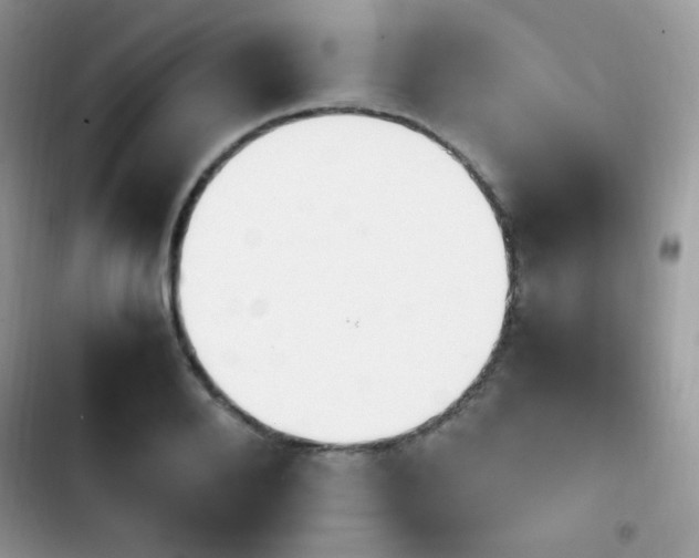 X0000103940888200809191414
