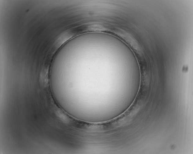 X0000103940889200809191414