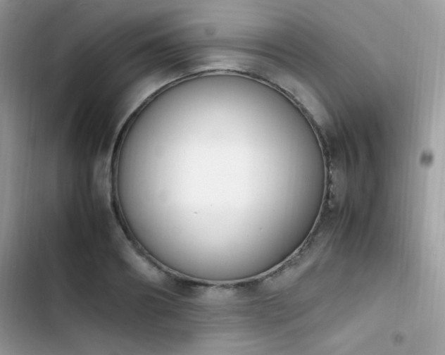 X0000103940890200809191414