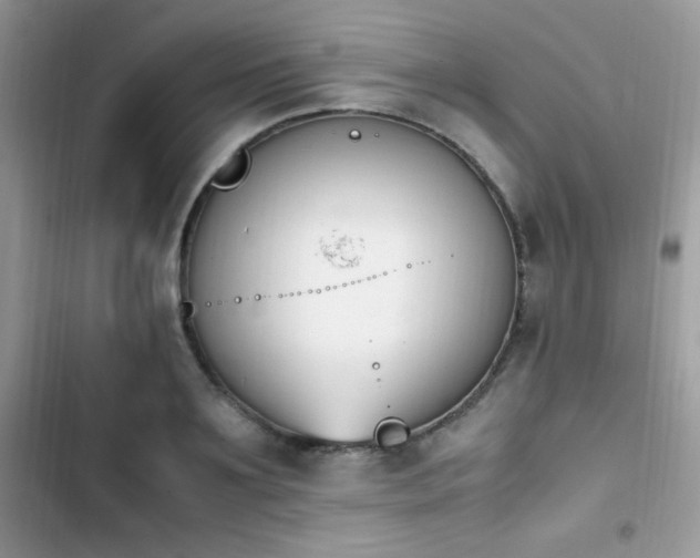 X0000103940891200809191414